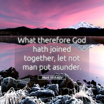 Picture 05 - Mark 10:9 ASV - What therefore God hath joined together, let not - Bible Verse Picture