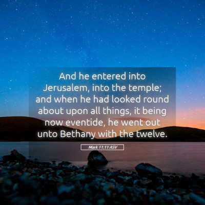 Picture 05 - Mark 11:11 ASV - And he entered into Jerusalem, into the temple; - Bible Verse Picture