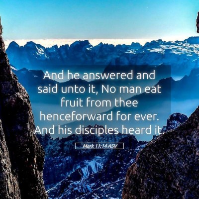Picture 05 - Mark 11:14 ASV - And he answered and said unto it, No man eat - Bible Verse Picture