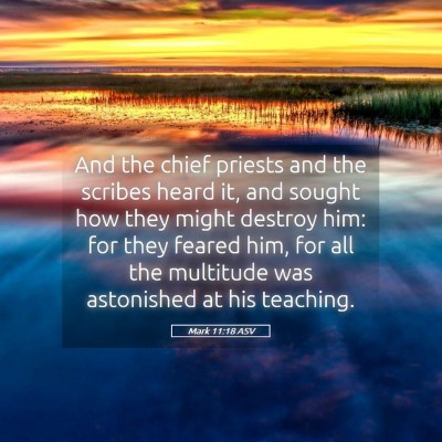 Picture 05 - Mark 11:18 ASV - And the chief priests and the scribes heard it, - Bible Verse Picture