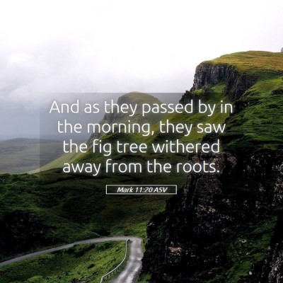 Picture 05 - Mark 11:20 ASV - And as they passed by in the morning, they saw - Bible Verse Picture