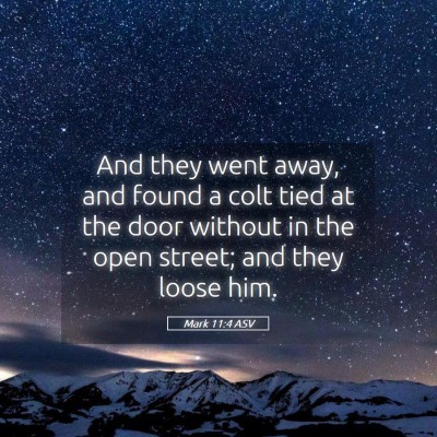 Picture 05 - Mark 11:4 ASV - And they went away, and found a colt tied at the - Bible Verse Picture