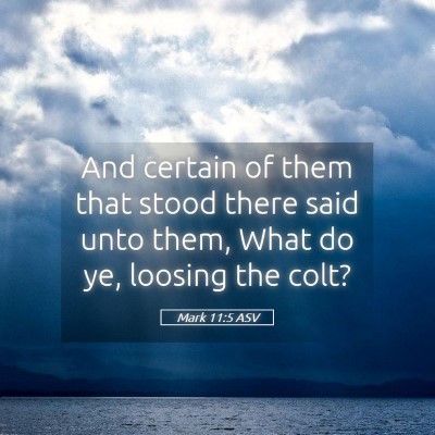 Picture 05 - Mark 11:5 ASV - And certain of them that stood there said unto - Bible Verse Picture