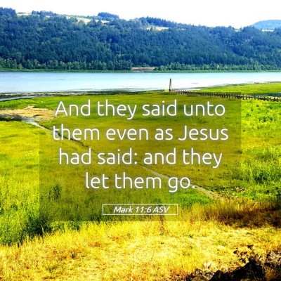 Picture 05 - Mark 11:6 ASV - And they said unto them even as Jesus had said: - Bible Verse Picture