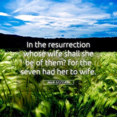 Picture 05 - Mark 12:23 ASV - In the resurrection whose wife shall she be of - Bible Verse Picture