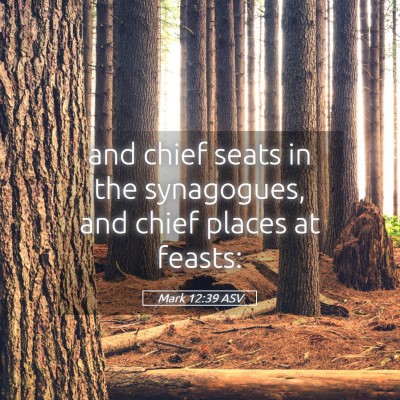 Picture 05 - Mark 12:39 ASV - and chief seats in the synagogues, and chief - Bible Verse Picture