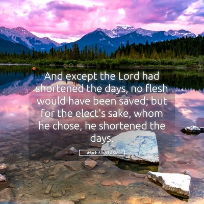Picture 05 - Mark 13:20 ASV - And except the Lord had shortened the days, no - Bible Verse Picture
