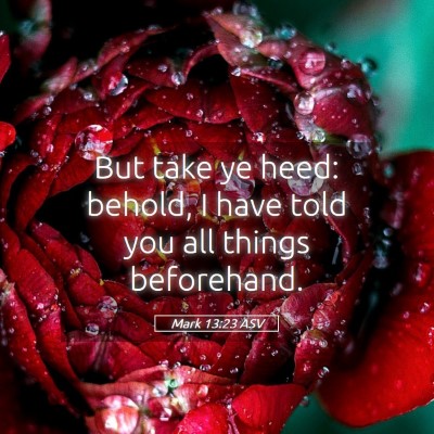 Picture 05 - Mark 13:23 ASV - But take ye heed: behold, I have told you all - Bible Verse Picture