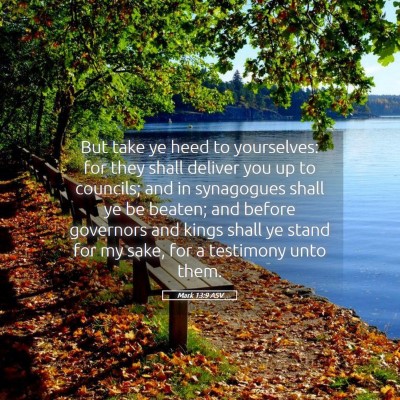 Picture 05 - Mark 13:9 ASV - But take ye heed to yourselves: for they shall - Bible Verse Picture