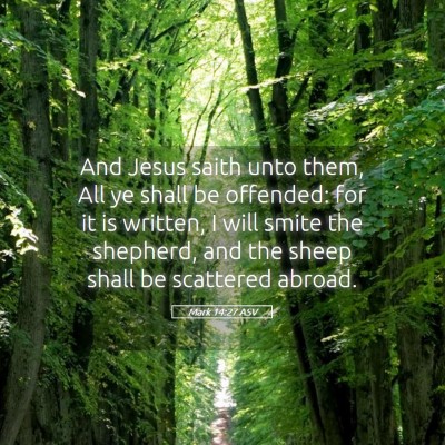 Picture 05 - Mark 14:27 ASV - And Jesus saith unto them, All ye shall be - Bible Verse Picture