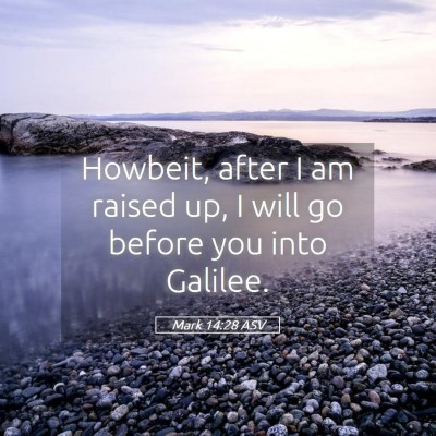 Picture 05 - Mark 14:28 ASV - Howbeit, after I am raised up, I will go before - Bible Verse Picture
