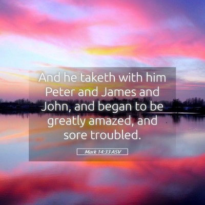 Picture 05 - Mark 14:33 ASV - And he taketh with him Peter and James and John, - Bible Verse Picture