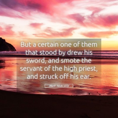 Picture 05 - Mark 14:47 ASV - But a certain one of them that stood by drew his - Bible Verse Picture
