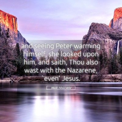 Picture 05 - Mark 14:67 ASV - and seeing Peter warming himself, she looked upon - Bible Verse Picture