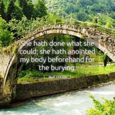 Picture 05 - Mark 14:8 ASV - She hath done what she could; she hath anointed - Bible Verse Picture