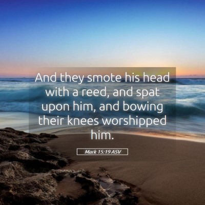 Picture 05 - Mark 15:19 ASV - And they smote his head with a reed, and spat - Bible Verse Picture