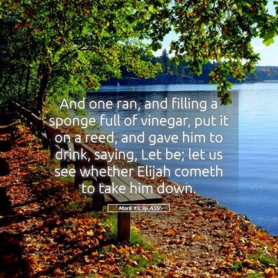 Picture 05 - Mark 15:36 ASV - And one ran, and filling a sponge full of - Bible Verse Picture