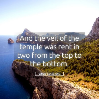 Picture 05 - Mark 15:38 ASV - And the veil of the temple was rent in two from - Bible Verse Picture