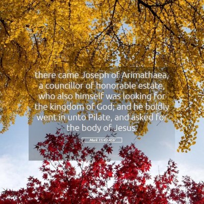 Picture 05 - Mark 15:43 ASV - there came Joseph of Arimathaea, a councillor of - Bible Verse Picture