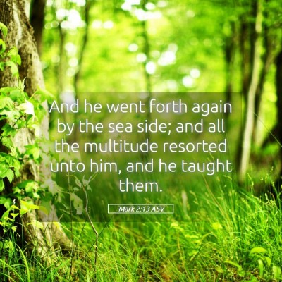 Picture 05 - Mark 2:13 ASV - And he went forth again by the sea side; and all - Bible Verse Picture