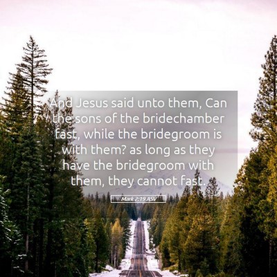 Picture 05 - Mark 2:19 ASV - And Jesus said unto them, Can the sons of the - Bible Verse Picture