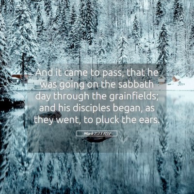 Picture 05 - Mark 2:23 ASV - And it came to pass, that he was going on the - Bible Verse Picture