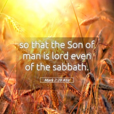 Picture 05 - Mark 2:28 ASV - so that the Son of man is lord even of the - Bible Verse Picture