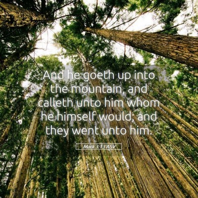 Picture 05 - Mark 3:13 ASV - And he goeth up into the mountain, and calleth - Bible Verse Picture