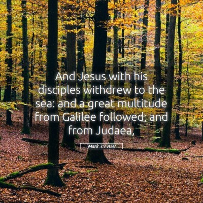 Picture 05 - Mark 3:7 ASV - And Jesus with his disciples withdrew to the sea: - Bible Verse Picture