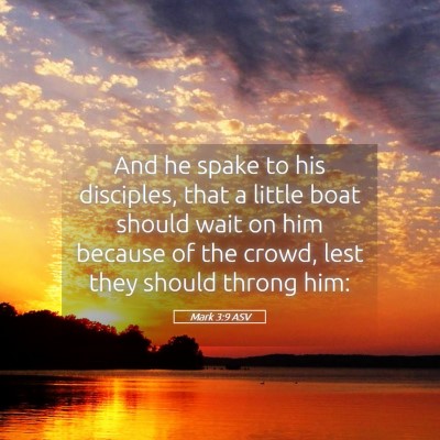 Picture 05 - Mark 3:9 ASV - And he spake to his disciples, that a little boat - Bible Verse Picture
