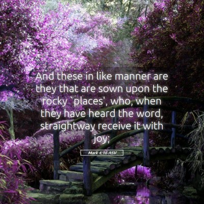 Picture 05 - Mark 4:16 ASV - And these in like manner are they that are sown - Bible Verse Picture