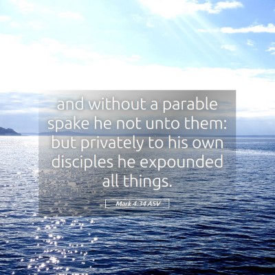 Picture 05 - Mark 4:34 ASV - and without a parable spake he not unto them: but - Bible Verse Picture