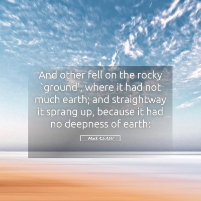 Picture 05 - Mark 4:5 ASV - And other fell on the rocky `ground', where it - Bible Verse Picture