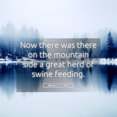 Picture 05 - Mark 5:11 ASV - Now there was there on the mountain side a great - Bible Verse Picture