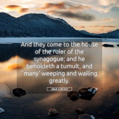 Picture 05 - Mark 5:38 ASV - And they come to the house of the ruler of the - Bible Verse Picture
