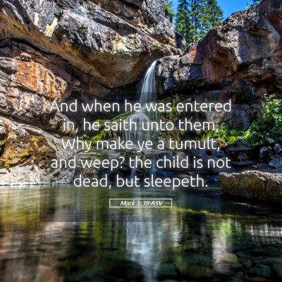 Picture 05 - Mark 5:39 ASV - And when he was entered in, he saith unto them, - Bible Verse Picture