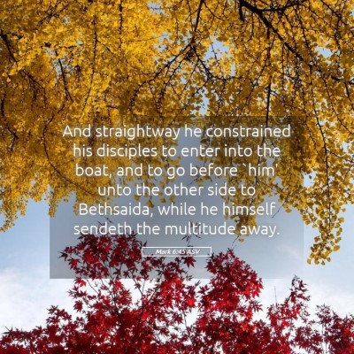Picture 05 - Mark 6:45 ASV - And straightway he constrained his disciples to - Bible Verse Picture
