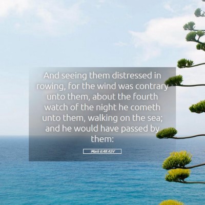 Picture 05 - Mark 6:48 ASV - And seeing them distressed in rowing, for the - Bible Verse Picture