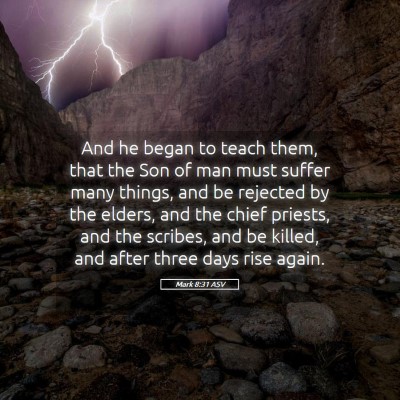 Picture 05 - Mark 8:31 ASV - And he began to teach them, that the Son of man - Bible Verse Picture