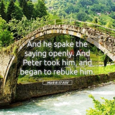 Picture 05 - Mark 8:32 ASV - And he spake the saying openly. And Peter took - Bible Verse Picture