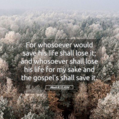 Picture 05 - Mark 8:35 ASV - For whosoever would save his life shall lose it; - Bible Verse Picture
