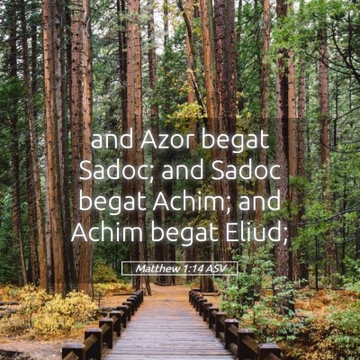 Picture 05 - Matthew 1:14 ASV - and Azor begat Sadoc; and Sadoc begat Achim; and - Bible Verse Picture