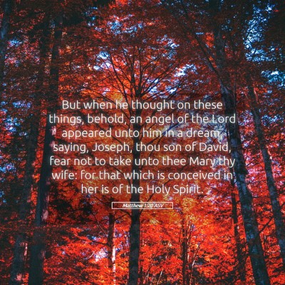 Picture 05 - Matthew 1:20 ASV - But when he thought on these things, behold, an - Bible Verse Picture
