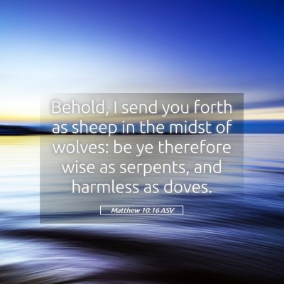 Picture 05 - Matthew 10:16 ASV - Behold, I send you forth as sheep in the midst of - Bible Verse Picture