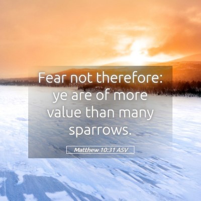 Picture 05 - Matthew 10:31 ASV - Fear not therefore: ye are of more value than - Bible Verse Picture