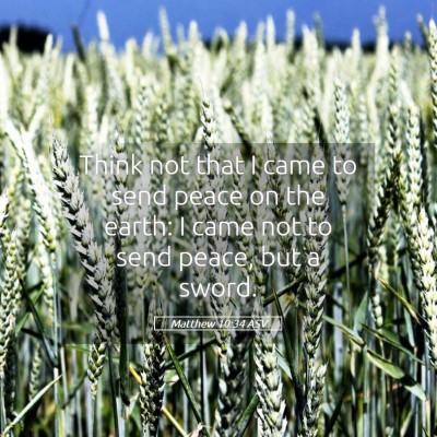 Picture 05 - Matthew 10:34 ASV - Think not that I came to send peace on the earth: - Bible Verse Picture