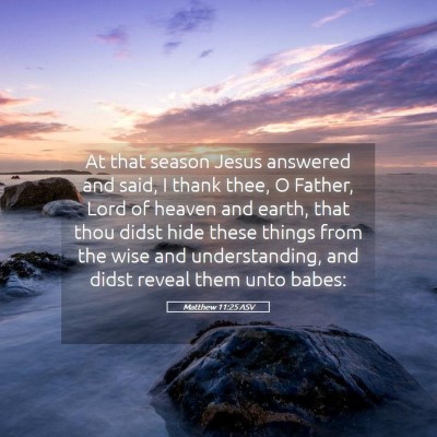 Picture 05 - Matthew 11:25 ASV - At that season Jesus answered and said, I thank - Bible Verse Picture