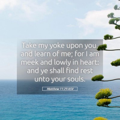 Picture 05 - Matthew 11:29 ASV - Take my yoke upon you, and learn of me; for I am - Bible Verse Picture