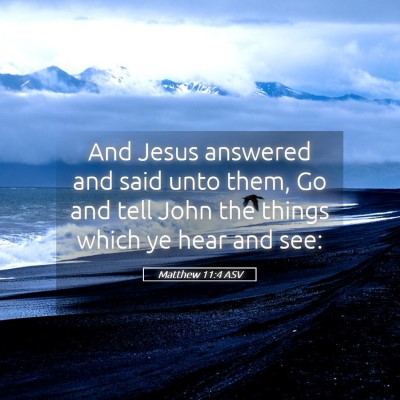 Picture 05 - Matthew 11:4 ASV - And Jesus answered and said unto them, Go and - Bible Verse Picture
