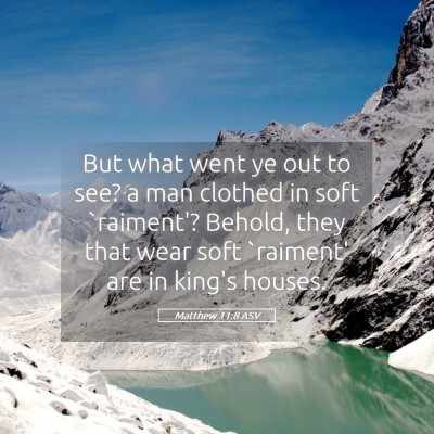 Picture 05 - Matthew 11:8 ASV - But what went ye out to see? a man clothed in - Bible Verse Picture